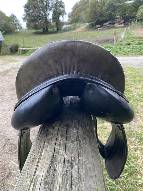 Selle de dressage
