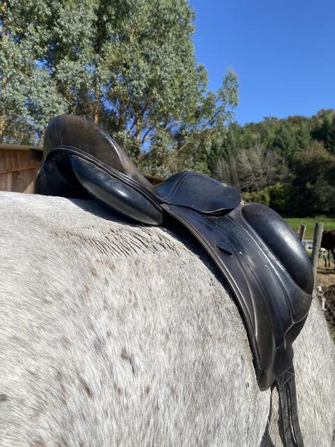 Selle de dressage