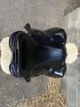 Selle devoucoux chiberta