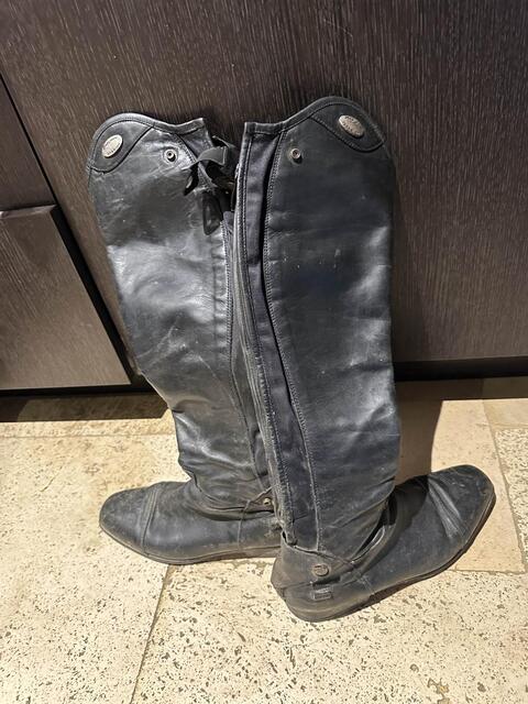 botte parlanti Denver