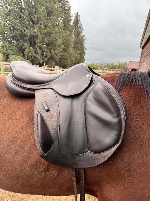 Selle CWD