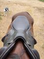 Selle CWD