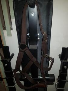 Licol marron