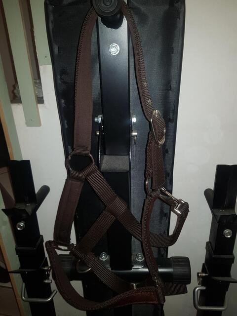 Licol marron