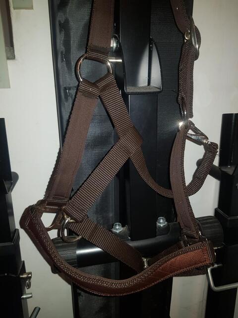 Licol marron