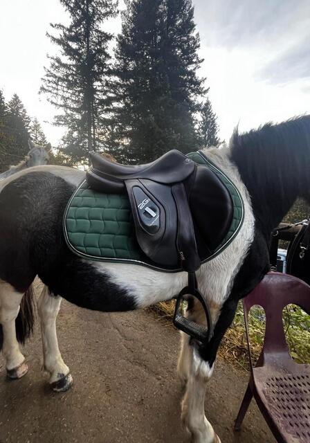 Selle cwd 2gs négociable