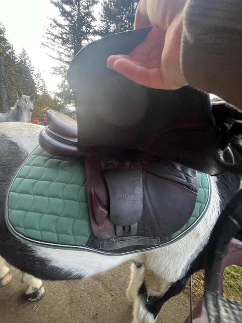 Selle cwd 2gs négociable