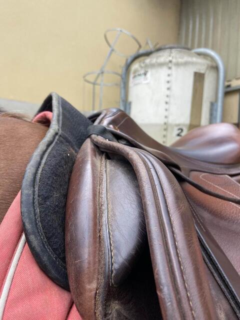Selle Prestige Versailles 17,5 pouces