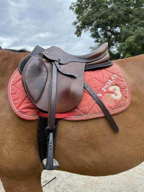 Selle Prestige Versailles 17,5 pouces
