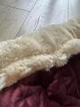 Couverture Velvet Kentucky