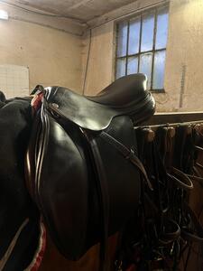 selle CWD