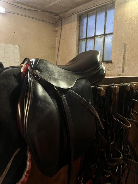 selle CWD