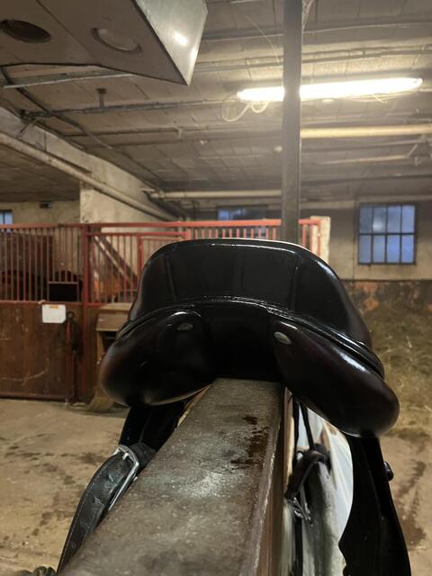 selle CWD