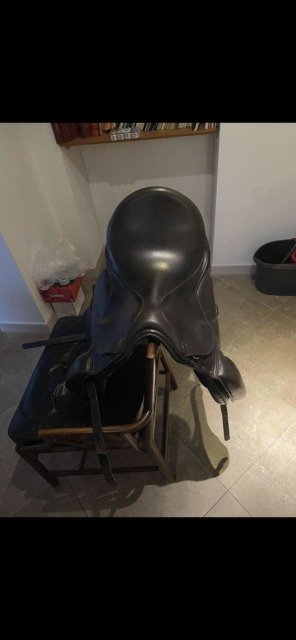 selle de dressage
