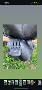 Selle equiline noire