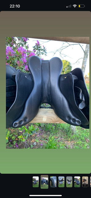 Selle equiline noire