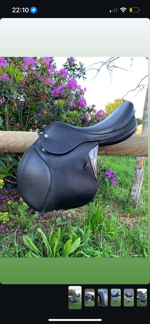 Selle equiline noire