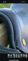 Selle equiline noire