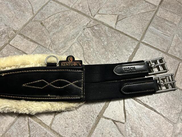 Sangle anatomique Kentucky mouton