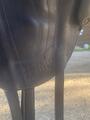 Selle dressage Antares