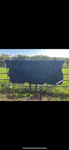 Horseware rhino