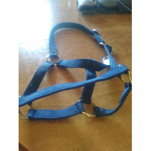 Licol poney bleu marine