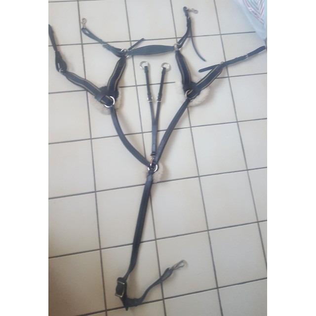 Collier de chasse