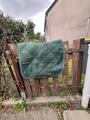 tapis dressage vert