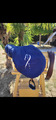selle Antares