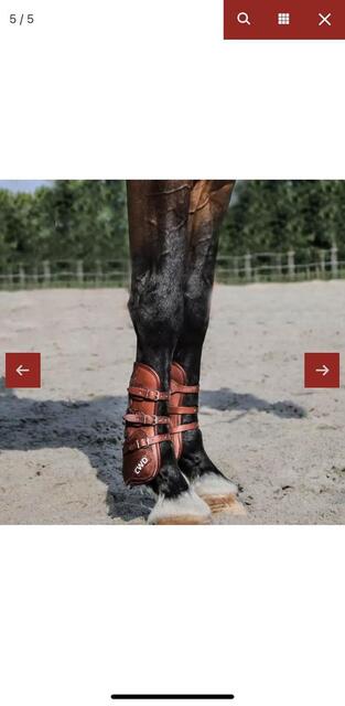 guêtre cheval cwd cuir marron