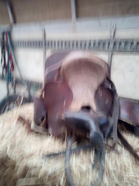 5 Selles