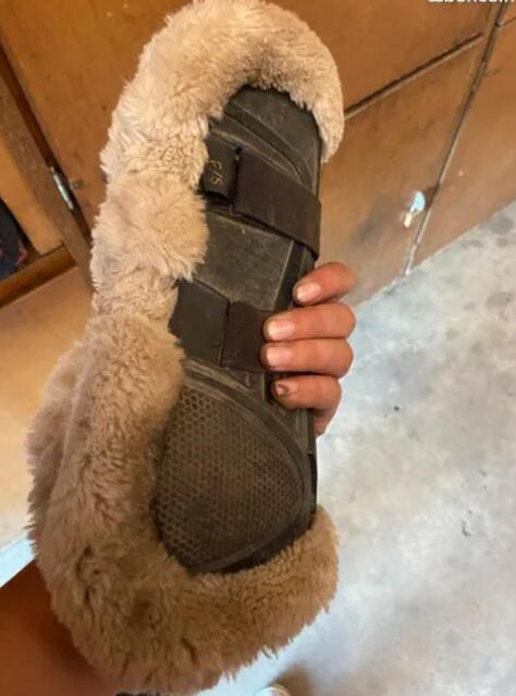 Guêtres XTR taille cheval