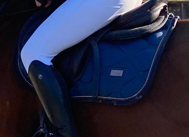 Tapis Equestrian Stockholm