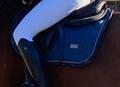 Tapis Equestrian Stockholm