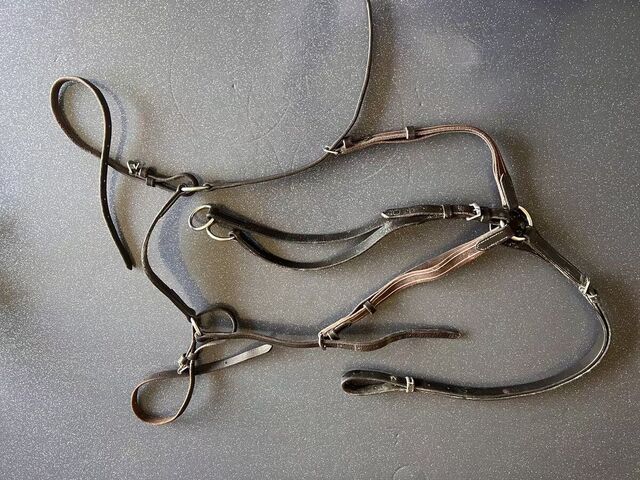 Collier de chasse
