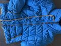 Manteau equi-theme bleu roi