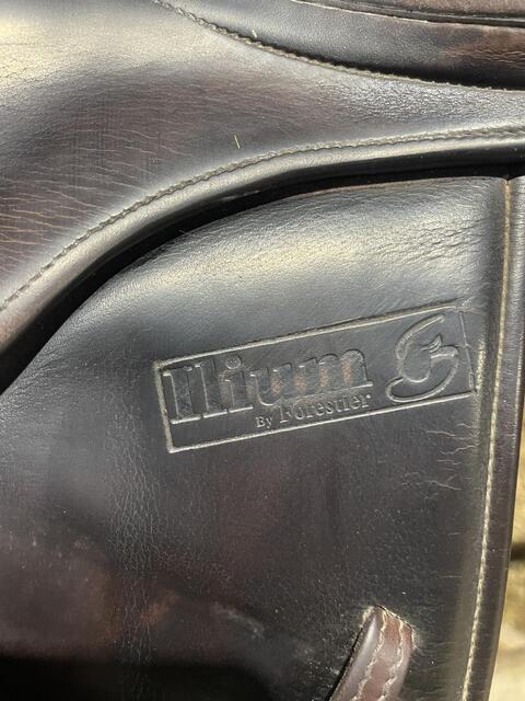 Selle forestier 17,5