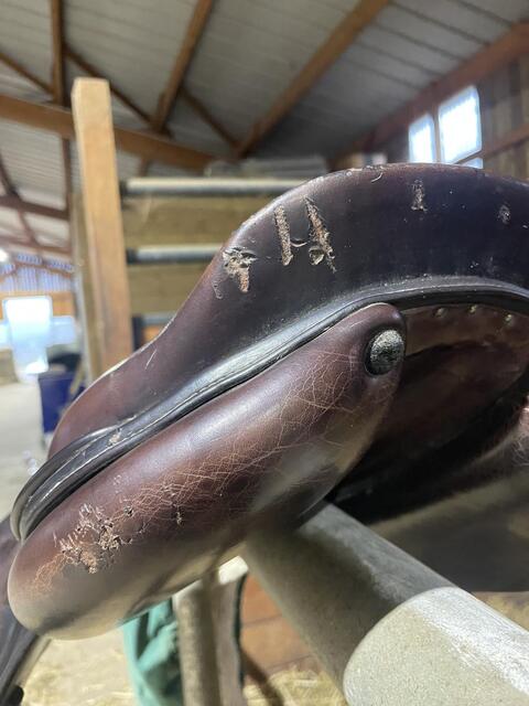Selle forestier 17,5