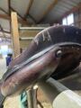 Selle forestier 17,5