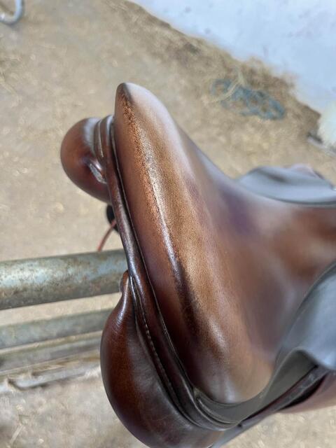Selle Antares 2020