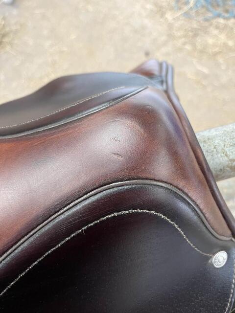 Selle Antares 2020