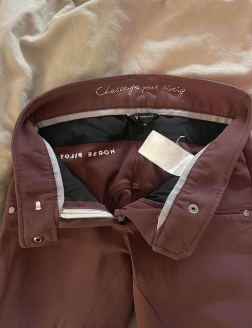 Pantalon HP prune