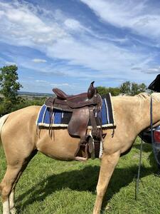Selle western