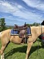 Selle western