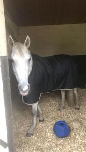 chemise horseware poney