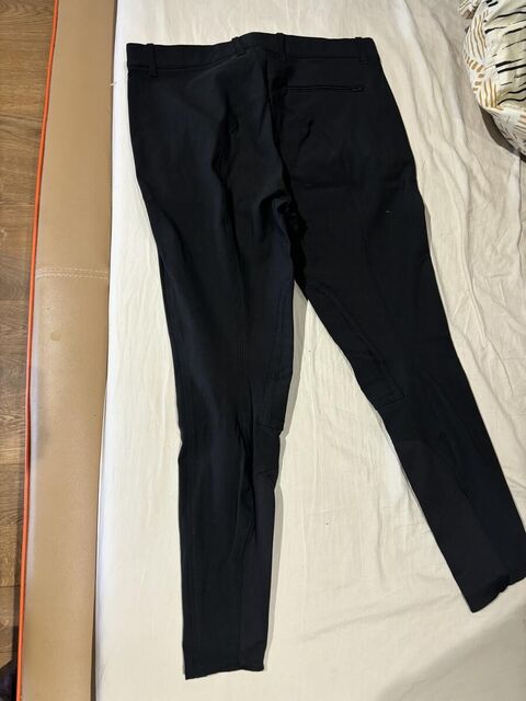 Pantalon equiline homme