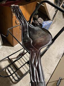 bavette cwd