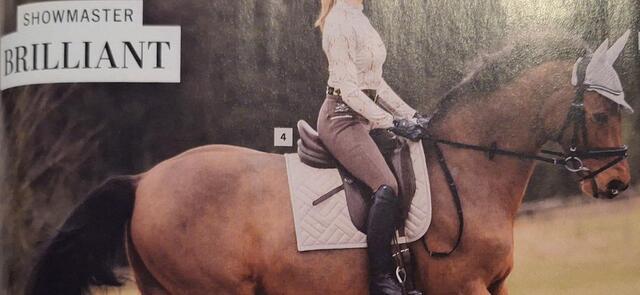 Tapis de Selle Dressage Showmaster Brillant!