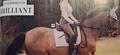 Tapis de Selle Dressage Showmaster Brillant!