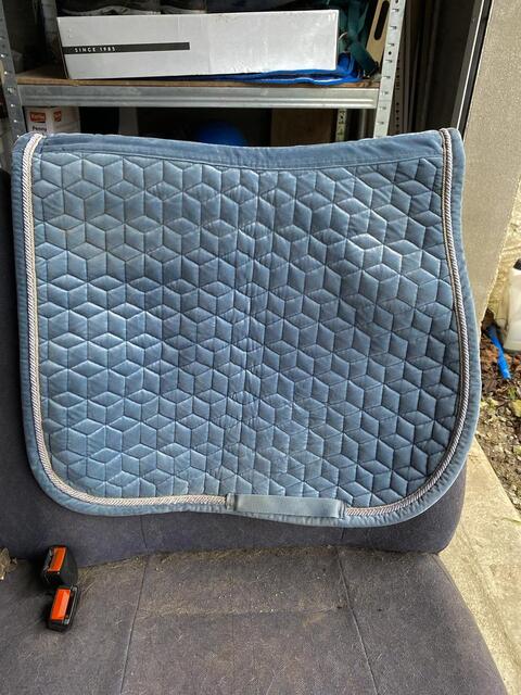 Tapis kentucky
